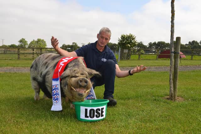 Big Bob, Sunderland's very own psychic pig, incurs the frustration of owner William Weightman after correctly predicting England's World Cup football defeat to Belgium in 2018.