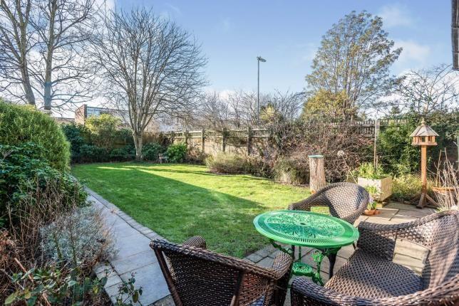 This is what the back garden looks like.