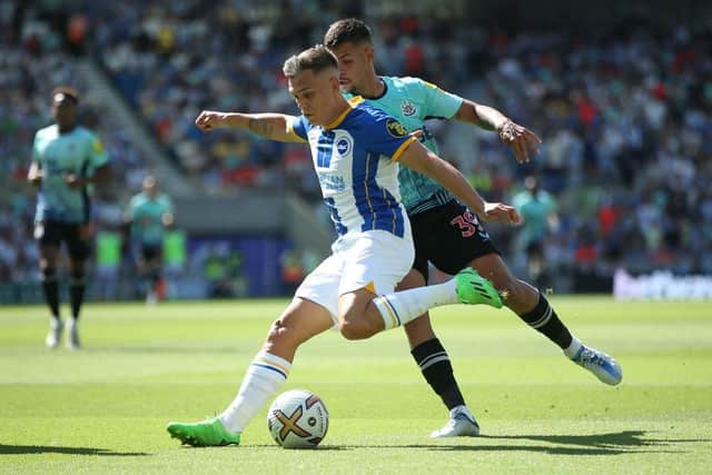 Arsenal have agreed a £27m deal to sign Leandro Trossard from Brighton & Hove Albion  (Photo by Steve Bardens/Getty Images)
