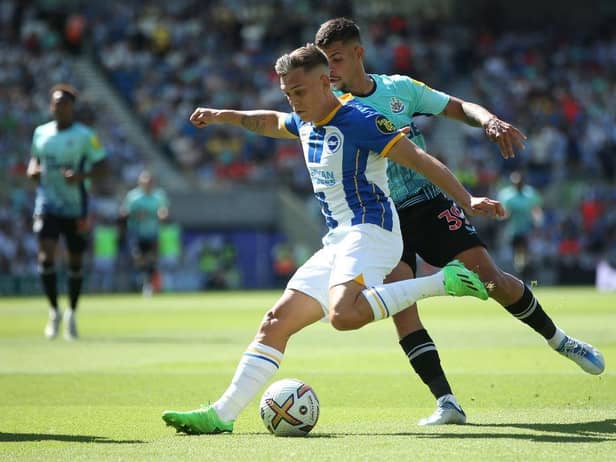 Arsenal have agreed a £27m deal to sign Leandro Trossard from Brighton & Hove Albion  (Photo by Steve Bardens/Getty Images)