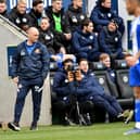 Sunderland boss Alex Neil