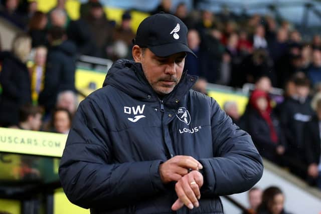 Norwich City manager David Wagner (Photo by Stephen Pond/Getty Images)