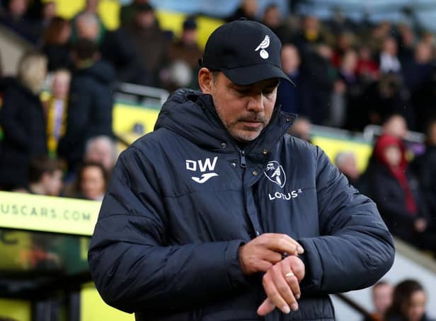 Norwich City manager David Wagner (Photo by Stephen Pond/Getty Images)