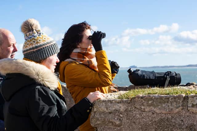 Bird watching. Picture by National Trust Images/Chris Lacey.