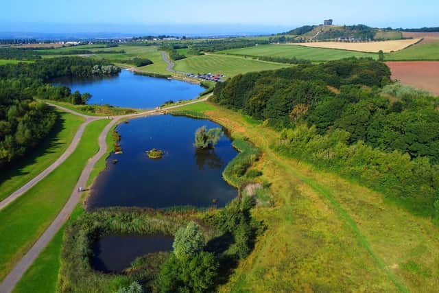 Blue-green algae can bloom in Herrington Country Park in the summer months. (Photo by Ian McClelland Media)