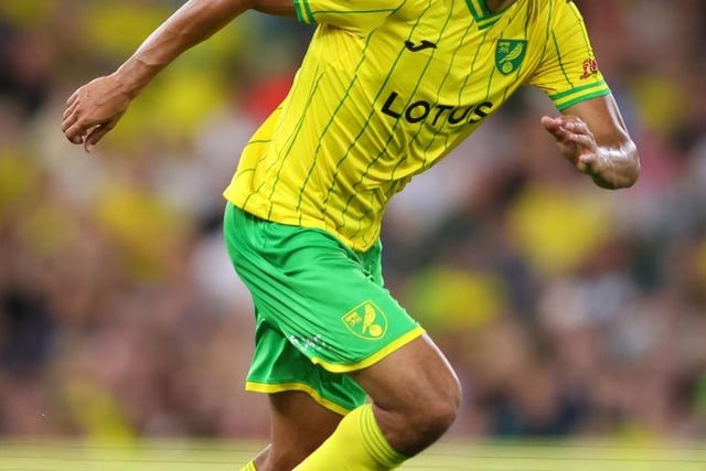 Norwich City had a reported net spend of £10.33million in the summer window.