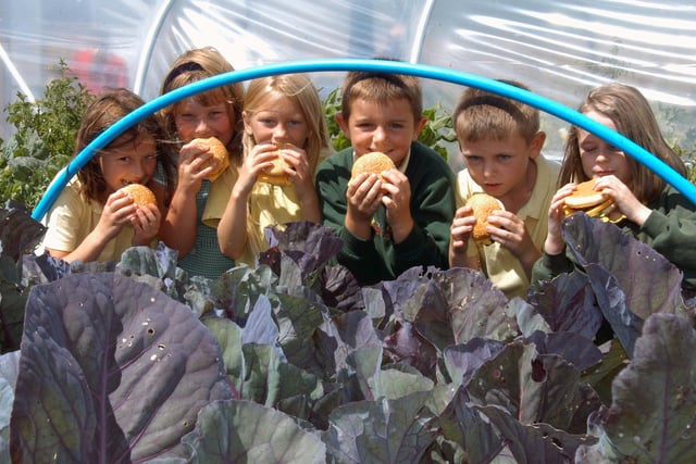 Pupils from Hudson Road School tucked into burgers during a barbecue at Sunderland Community Allotment in 2010. Recognise anyone?