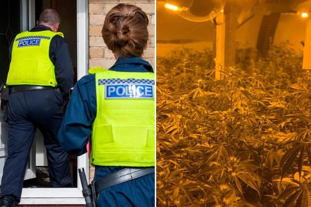 Officers from Northumbria Police's dedicated burglary squad made a series of arrests and uncovered a cannabis farm over a three-day operation