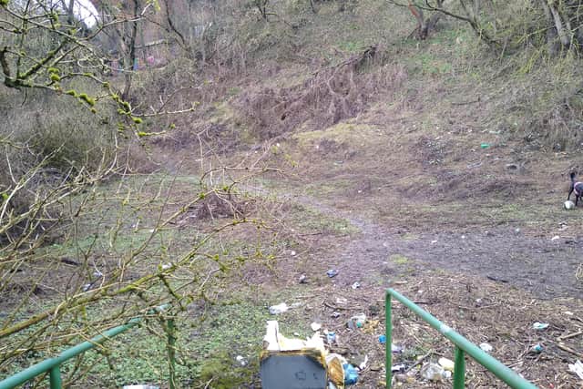 Rubbish in Hazel Dene, photographed in February 2021.