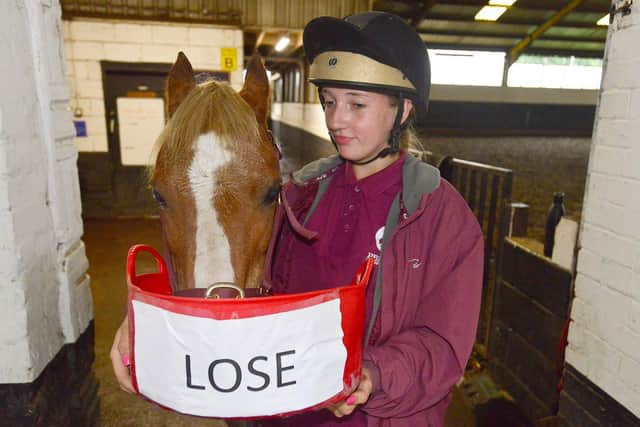 Yellow the psychic pony picks the 'lose' feeding bowl for England's game against Denmark as groom Amelia Stubbs looks on.