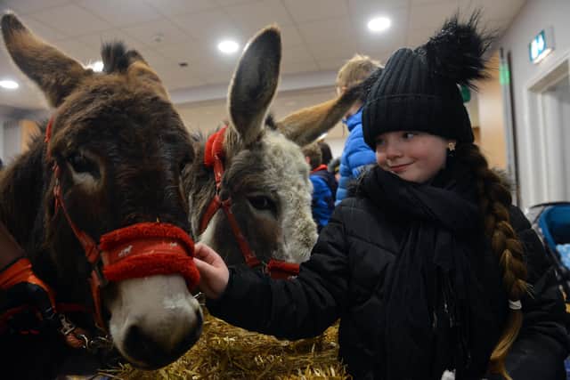 A youngster says hello to some animal friends at Pallion Christmas Lights switch-on in 2019.