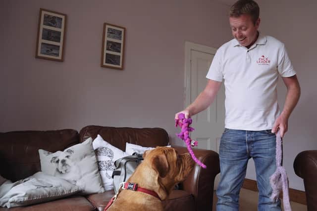 Dominic Hodgson has written a book about keeping dogs entertained during lockdown