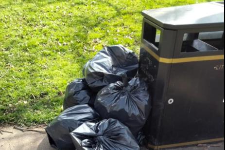 Look how much litter was collected at Sandall Park!