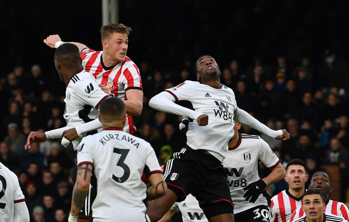 Sunderland's seven-figure transfer call that is starting to pay off after impressive FA Cup display at Fulham