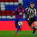 Lewis Cass of Newcastle during the FA Youth Cup Fourth Round match between Crystal Palace and Newcastle United at Selhurst Park (Photo by Jordan Mansfield/Getty Images)