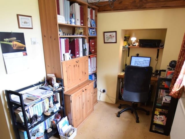 The study.