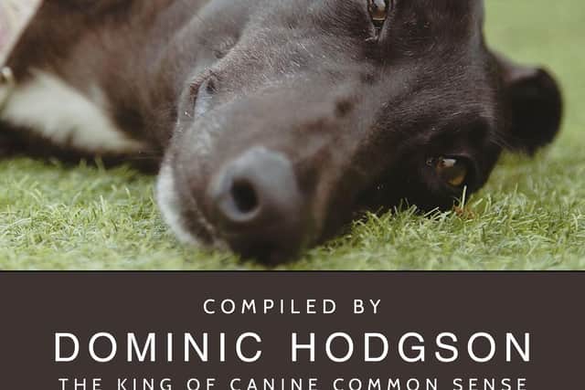 Rescue Dogs Rehoming Remedies is out now.