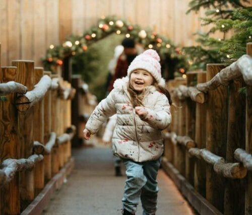 The Plotters Forest attraction at Raby Castle, County Durham, is hosting an outdoor trail with both day and night ticket options from November 18. Twinkling lights and festive music guide your path through the winter wonderland. Day Tickets are selected times between 10am and 2pm and include use of The Plotters' Forest play equipment, Christmas trail and a special treat for the children. This ticket also include access into the Deer Park anytime in between 10am and 4pm.
Night Tickets are selected times between 4pm and 6pm and include the Christmas trail illuminated at night and a special treat for the children.