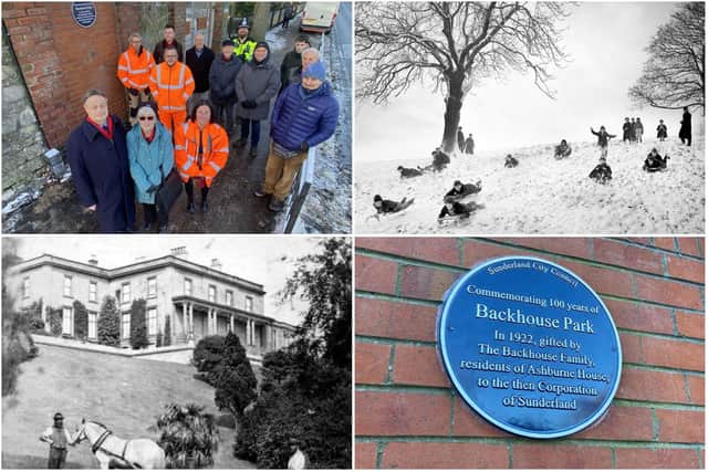 Celebrating 100 years of Backhouse Park