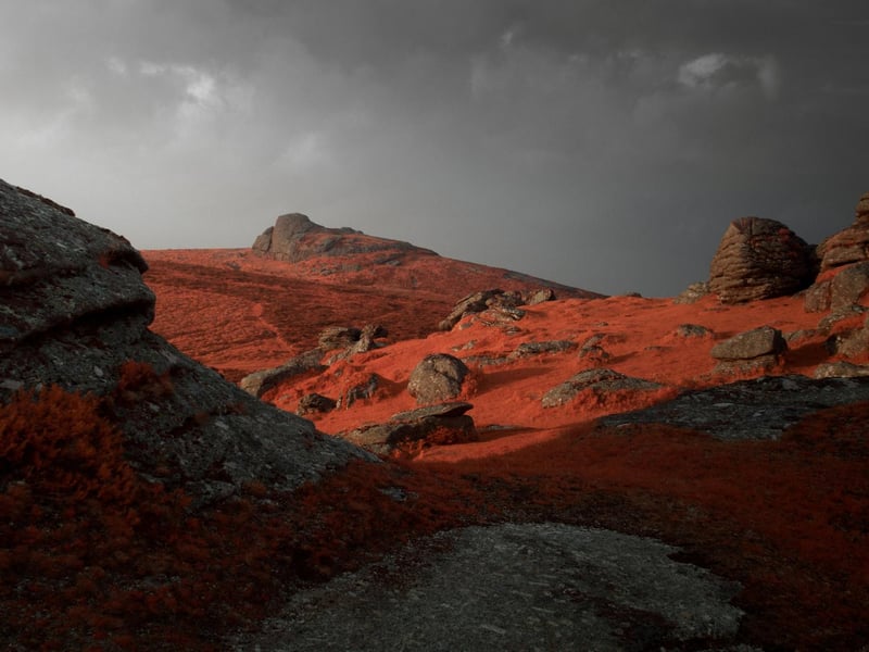 Neil Burnell, 45, has spent years shooting settings in a unique way and admits he was inspired by Star Wars - particularly Yoda's refuge on Dagobah. A full-time photographer from Brixham, Devon, Neil's images fall into six themes - named Visions, Chrome, Unknown, Delicate, Deep Blue, and Mystical.
