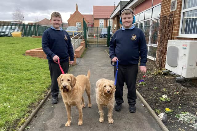 Twins Harrison (left) and Oliver Gair return from taking Beau (left) and Autumn for their walk around the playground at St. Leonard's Catholic Primary School. 

Picture by FRANK REID