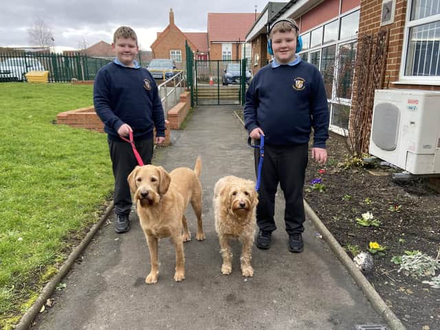 Twins Harrison (left) and Oliver Gair return from taking Beau (left) and Autumn for their walk around the playground at St. Leonard's Catholic Primary School. 

Picture by FRANK REID