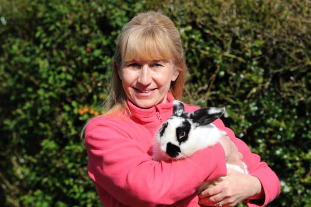 The charity have seen a huge increase in lockdown rabbits.
