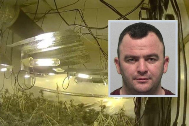 Stuparu, 27, of no fixed address, admitted producing cannabis and was jailed for 13 months