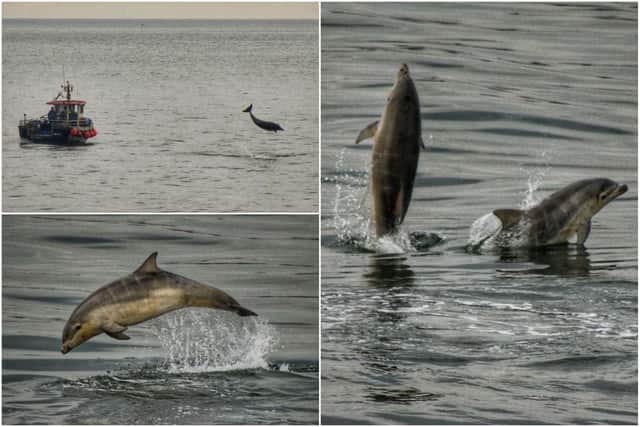 Pictures by Ian Maggiore taken from Roker Pier
