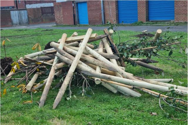 The trees will now be rehomed in the coming weeks at Sunderland Central Community Fire Station just five minutes away from where the garden was initially planted.