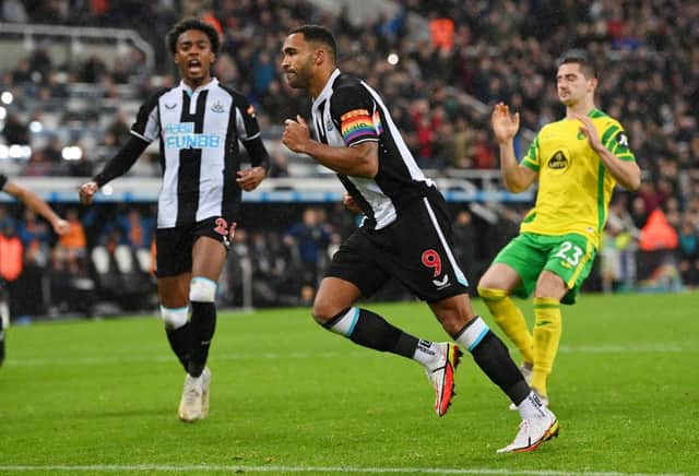 Callum Wilson celebrates after scoring from the penalty spot.