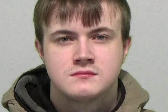 Collinson, 19, of Oak Avenue, Houghton, pleaded guilty to three counts of making indecent images of children.He was sentenced to nine months, suspended for two years. and must also complete a number of rehabilitation courses and sign the sex offender's register for ten years