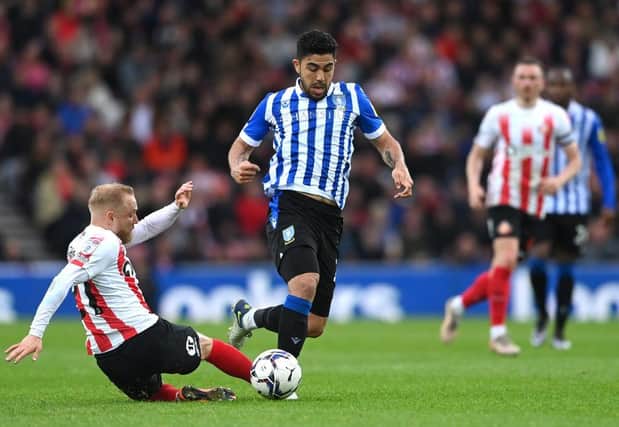 Massimo Luongo playing for Sheffield Wednesday against Sunderland. (Photo by Stu Forster/Getty Images)