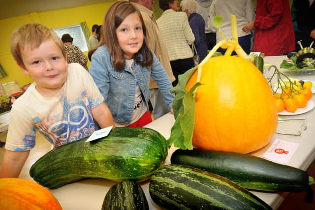 Harvey Ingham, then seven and his sister Olivia, eleven, from East Herrington alongside the giant vegetables at the 2013 Herrington Village Show. Image, Sunderland Echo.