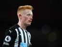 Newcastle United midfielder Matty Longstaff last played for the first team in January. (Photo by Catherine Ivill/Getty Images)