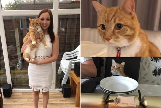 A family have revealed their heartbreak after their cat Jim was shot with an air rifle.