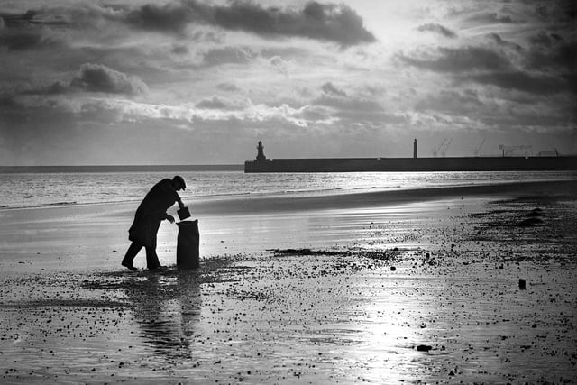 Gathering coal from the beach in the last light in 1956.