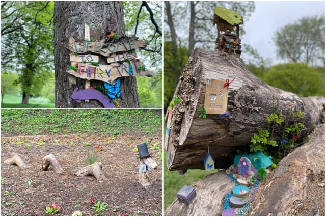 The Fairy Trail at Backhouse Park