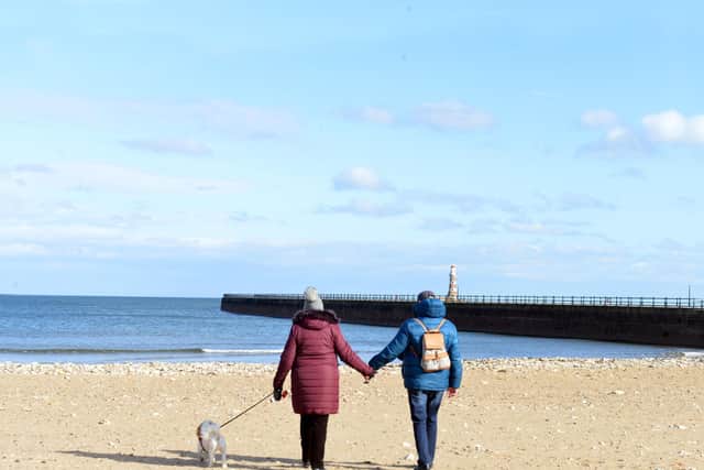 The rules on dog exclusion zones on Sunderland beaches are to remain as they were following a public consultation.