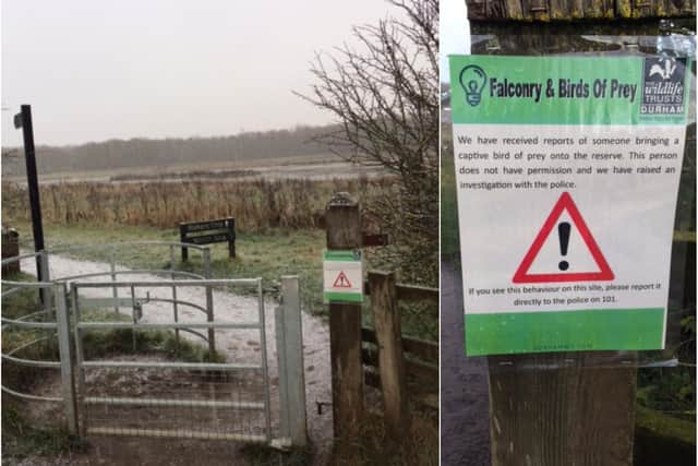 Warnings have been issued after reports a man was seen in Rainton Meadows nature reserve, on the edge of Sunderland, with a bird of prey.