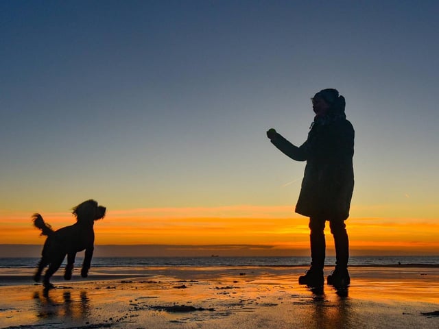 This pooch seems poised for a sprint across Seaburn's sands.