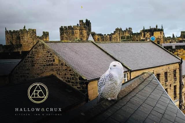 Hogwarts Landing, one of the new wizard-themed rooms at Hallow and Crux, offers views of Alnwick Castle.