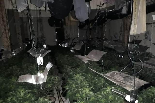 Hundreds of cannabis plants worth £500,000 were uncovered at the business unit on Villiers Street