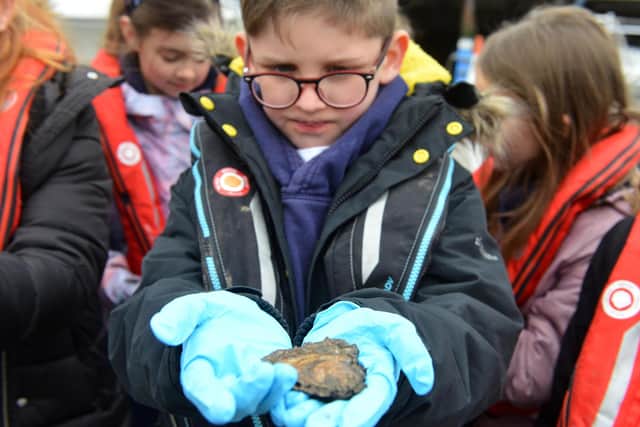 Children from Seaburn Dene Primary School have been counting and weighing the oysters as part of the Wild Oyster Project at Sunderland Marina.