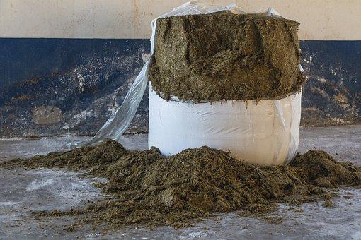 Why it's time to talk about poop - a vegan's guide to fertiliser