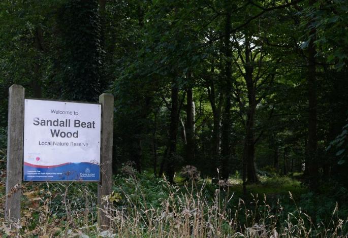 Marek Mjs said: "Sandall Beat Woods."
