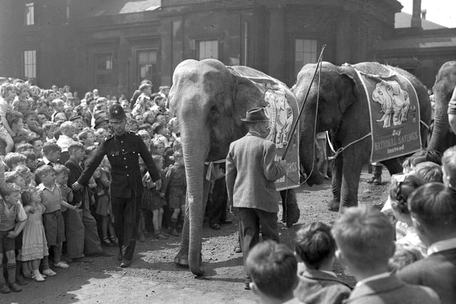 Arriving at Monkwearmouth Station on June 5, 1950, six elephants from Bertram Mills Circus were led through the streets to Seaburn, carrying large National Savings posters. The animals had a delighted audience of children.