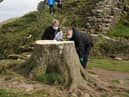 Forensic investigators from Northumbria Police examine the felled Sycamore Gap tree, on Hadrian's Wall in Northumberland. Picture: Owen Humphreys/PA Wire