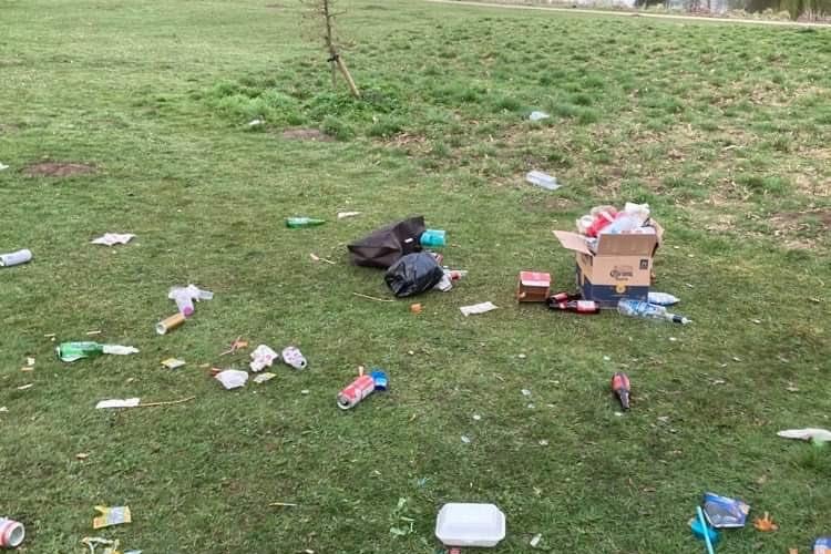 Rubbish thrown across Cusworth Hall hill.