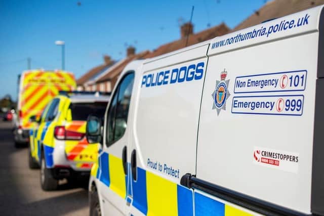 Two people have been arrested in connection with an alleged hit and run in Sunderland.